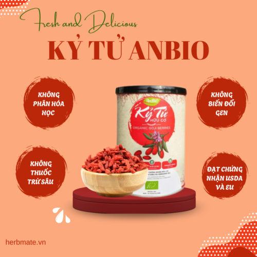 Kỷ Tử Hữu Cơ Anbio – Hộp 200g – “Trái Cây Thiên Đường” Cho Sức Khỏe Vàng