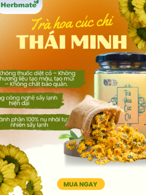 Trà Hoa Cúc Chi Thái Minh - Hũ Vuông 40g - Thanh Nhiệt, Sáng Mắt, An Thần