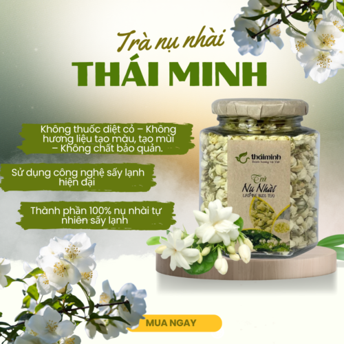 Bìa web trà nụ nhài (2) Trà Nụ Hoa Nhài Sấy Lạnh Thái Minh An - Hũ 40g – Hương Thơm Thanh Khiết