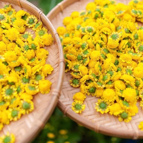 Trà Hoa Cúc Chi Thái Minh - Hũ Vuông 40g - Thanh Nhiệt, Sáng Mắt, An Thần